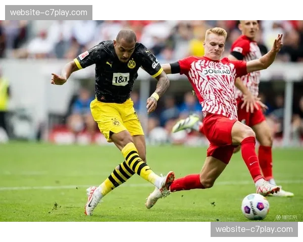 波鸿1-0小胜达姆施塔特,制胜球来源于一次后场界外球快发 波鸿1-0小胜达姆施塔特,制胜球来源于一次后场界外球快发